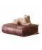 BOX WITH A CAT