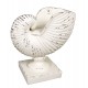 DECOR NAUTILUS GRAND