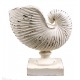 GRAND BOUGEOIR NAUTILUS