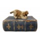 BOITE AVEC CHIEN CARAMEL