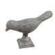 OISEAU TITI