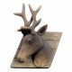 TETE DE CERF