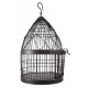 CAGE RONDE