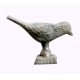 OISEAU TITI