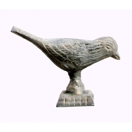 OISEAU TITI